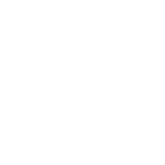logo-blanc logo blanc DavGemini.com